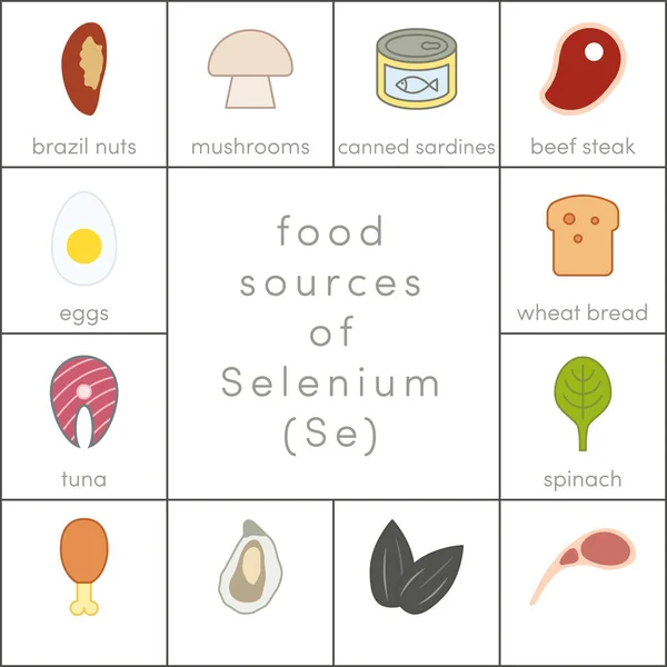 Food sources of selenium — Stock Vector