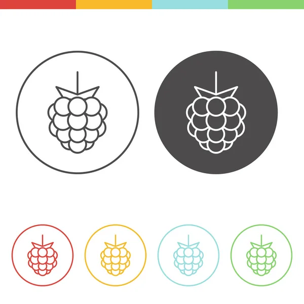 Set van raspberry pictogrammen — Stockvector