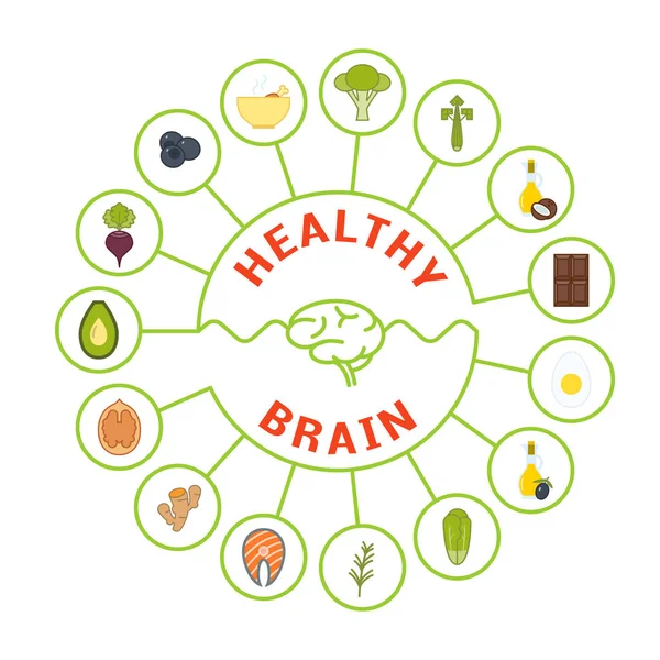 健康な脳のための食品 ストックベクター