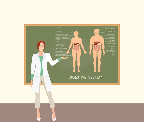 Kaukasische Ärztin lehrt Stockillustration