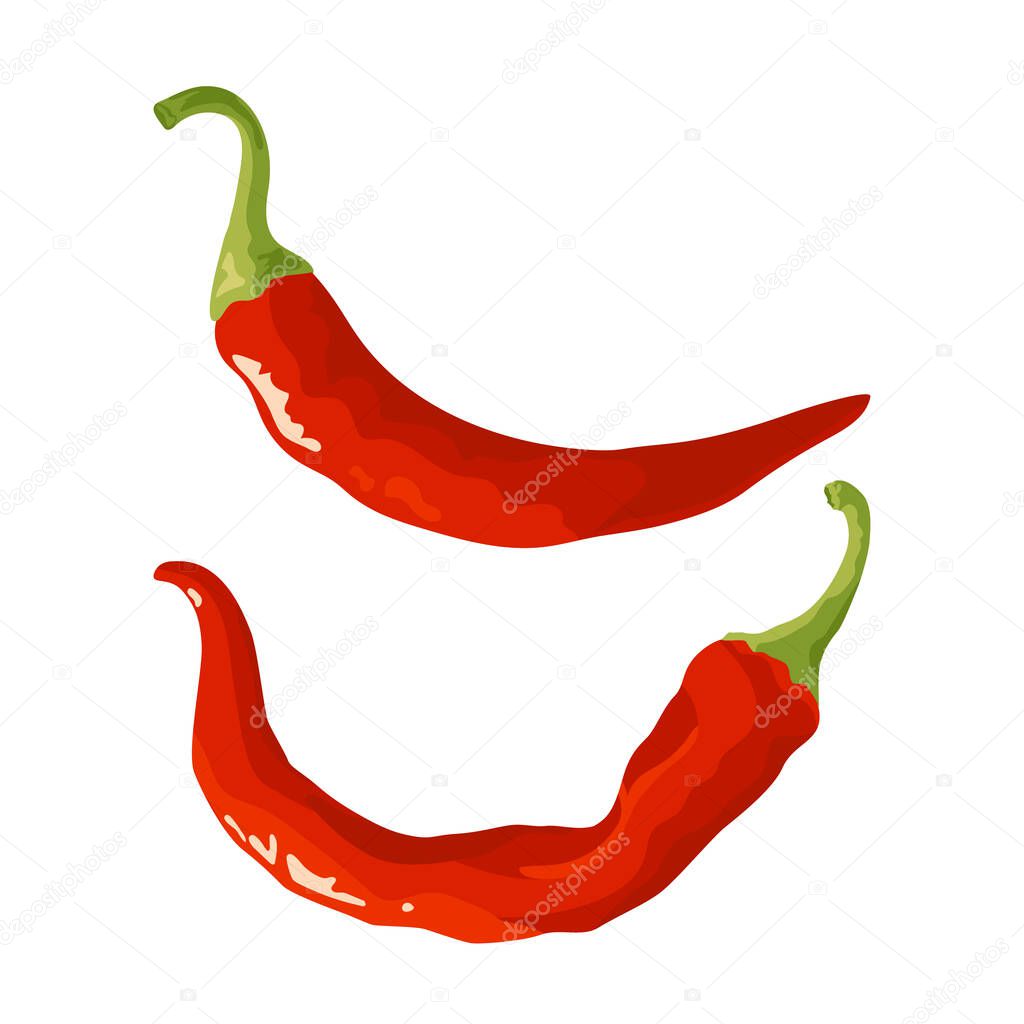 Chili pepper icons. Fresh red cayenne. Vector illustration isolated on white background in flat or cartoon style.