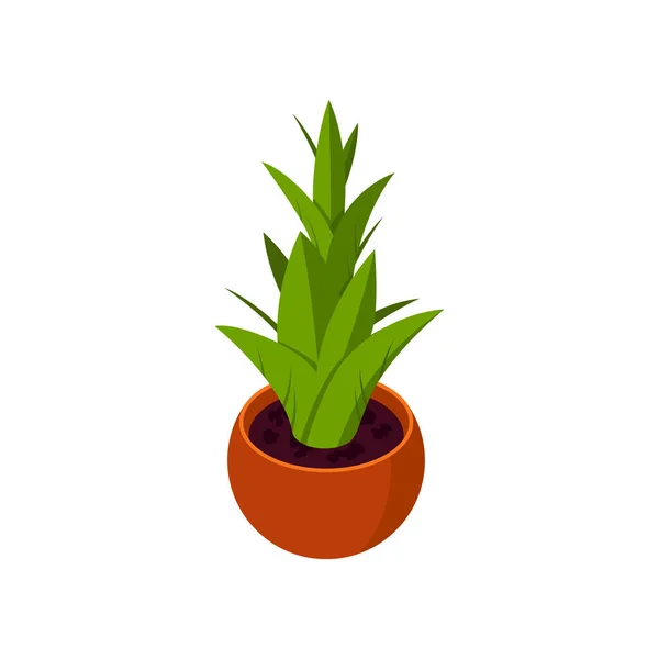 Ισομετρική φυτό, διανυσματικό εικονίδιο σε επίπεδο στυλ — Διανυσματικό Αρχείο