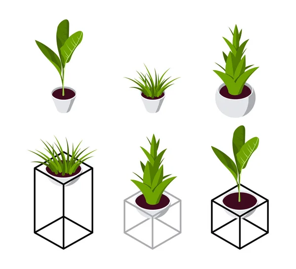 Ισομετρική φυτά, σύνολο εικόνων σε επίπεδο στυλ — Διανυσματικό Αρχείο