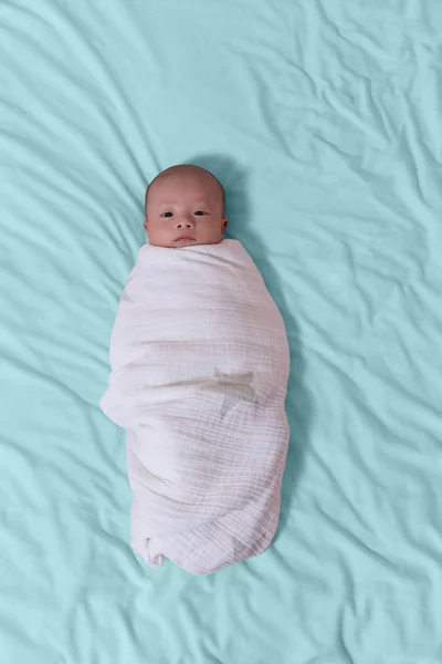 Baby swaddled in white blanket while resting on blue sheets — Stock Photo, Image