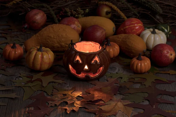 Glowing pumpkin decoration and autumn gourds in dark background — Stock Photo, Image