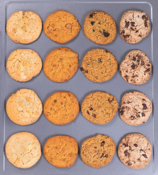 Variety of baked cookies on metal baking sheet ready to eat — Stock Photo, Image