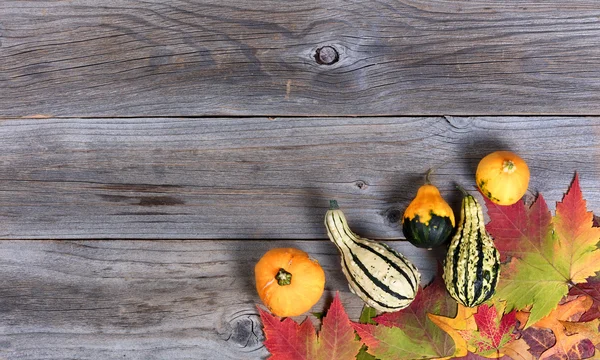 Real autumn gourd decorations and leaves on rustic wooden boards — Stock Photo, Image