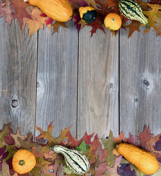 Melony, rosliny basztanowe prawdziwe jesień i liści tworząc granic na rustykalne drewniane b — Zdjęcie stockowe