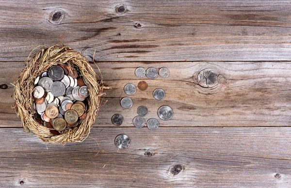 Nest egg filled with coin money for the future — Stock Photo, Image