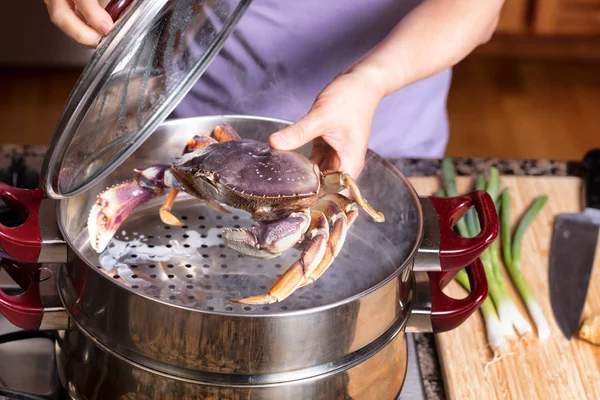 Dampfend frische lebende Krabben — Stockfoto