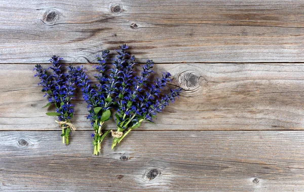 Fresh spring wild flowers on rustic wood background — Stock Photo, Image