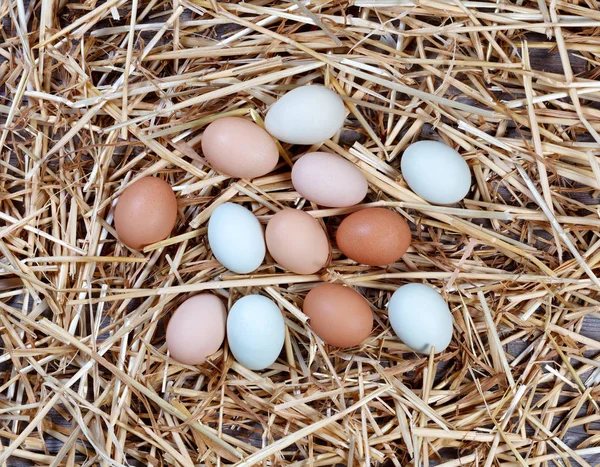 Naturalnie kolorowe jajka na suszone słoma i drewno na Wielkanoc/bis — Zdjęcie stockowe