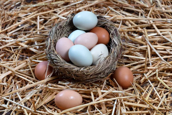 Naturalnie kolorowe jaja w gnieździe ptak na backgrou Wakacje Wielkanoc — Zdjęcie stockowe