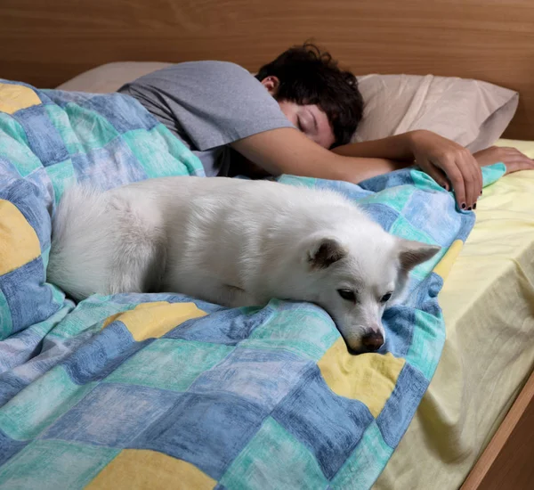 Family dog sleeping with teen girl on bed — Stock Photo, Image