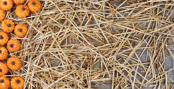Einfassung von Kürbissen auf getrocknetem Stroh und rustikalem Holz für den Herbst — Stockfoto