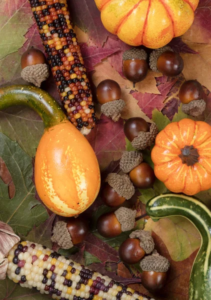 Őszi lombozat, egyéb őszi dekorációk a töltött test forma — Stock Fotó