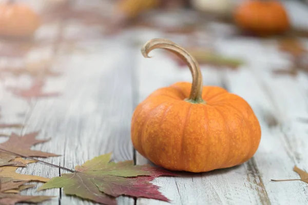 Autumn background with pumpkins and leaves on wood — Stock Photo, Image