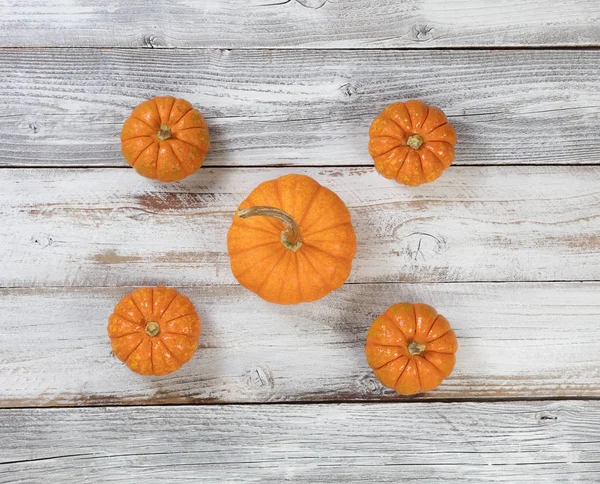 Autumn seasonal pumpkins for holidays on white rustic wooden boa — Stock Photo, Image