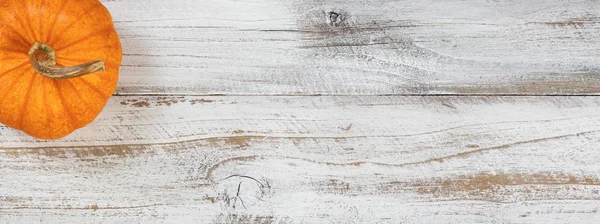 Calabaza de otoño sobre fondo rústico de madera blanca — Foto de Stock