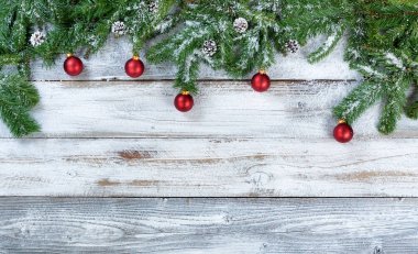 Karlı Noel çam dalları geleneksel çam kozalakları ile birlikte bir