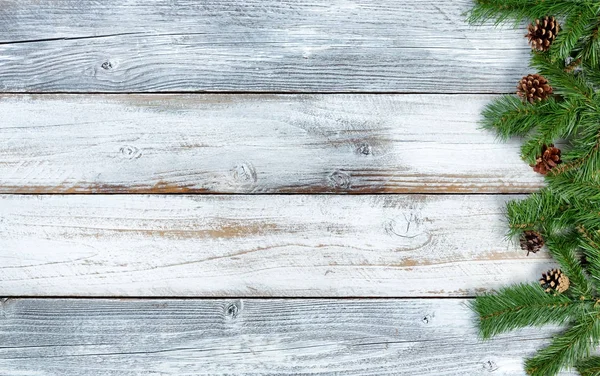 Natale rami sempreverdi su zaino in legno bianco nodoso rustico — Foto Stock