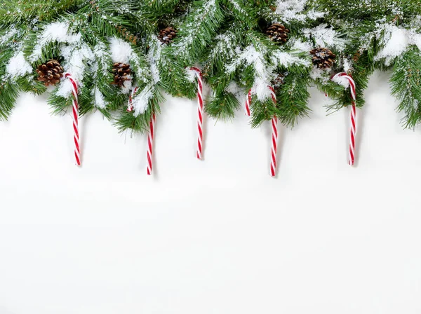 Christmas snöiga trädgrenar och candy cane ornament på vit — Stockfoto