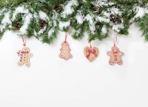 Natale rami d'albero innevati e ornamenti biscotto su schiena bianca — Foto Stock