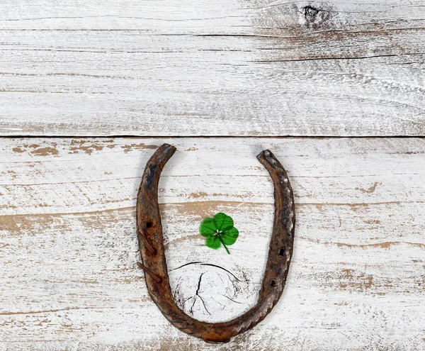 Lucky rusty Horseshoe with Real Four Leaf Clover on rustic white — Stock Photo, Image