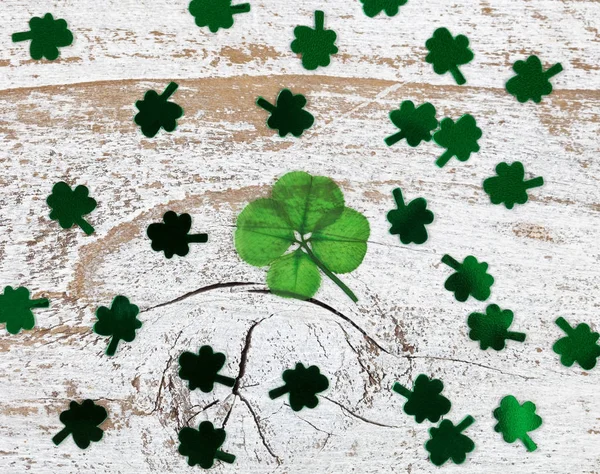 St Patrick günü için gerçek dört yapraklı yonca — Stok fotoğraf