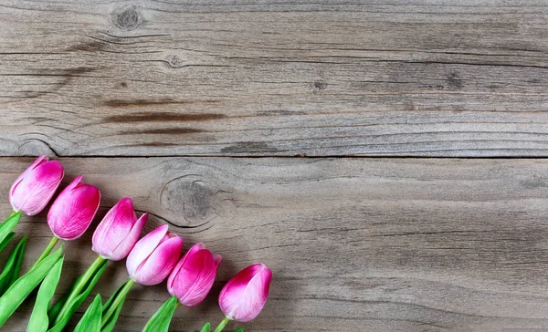 Pinkfarbene Tulpen zu Ostern auf rustikalem Holzgrund — Stockfoto