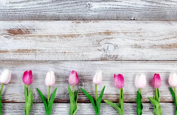 Pinkfarbene Tulpen für den Osterurlaub auf rustikalen weißen Holzbrettern — Stockfoto