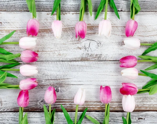 Obdélníkové hranice velikonoční tulipánů na rustikální bílá dřevěná backg — Stock fotografie