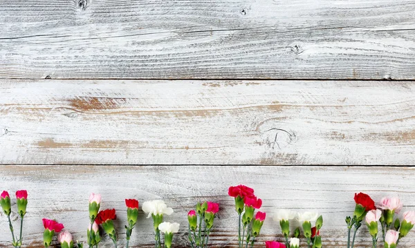 Dolní ohraničení na bílé zvětralý dřevěný barevný květ karafiátu — Stock fotografie