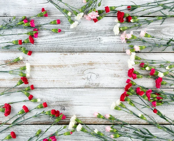 Bunte Nelkenblüten bilden Kreisrand auf weißem Gewebe — Stockfoto