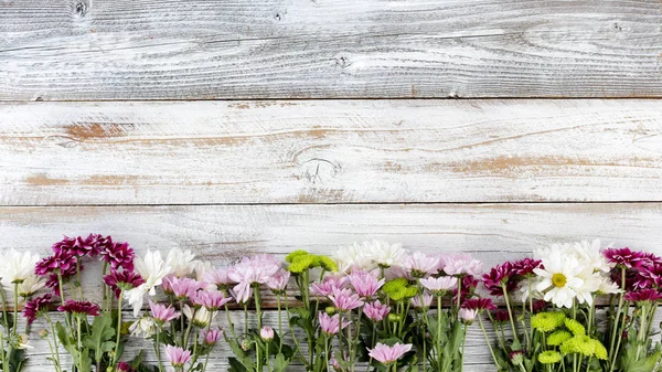 Mischblumen bilden den unteren Rand auf weißem verwittertem Holz — Stockfoto