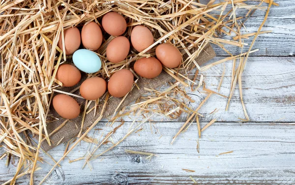 Pojedyncze jajo wśród brązowy organiczne surowe jaja kurze leżącego na st — Zdjęcie stockowe