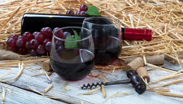 Glasses filled with red wine plus bottle and grapes in backgroun — Stock Photo, Image