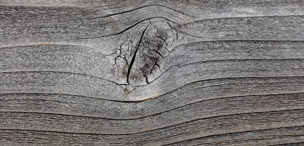 Grey wood texture. Abstract background — Stock Photo, Image
