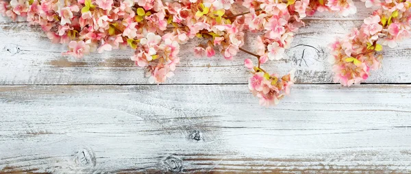 Blühende Kirschblüten auf weißem Vintage-Holz in Overhea — Stockfoto