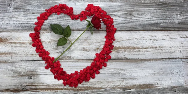 Šťastný Valentýn s malými srdíčky a jedinou červenou růži na w — Stock fotografie