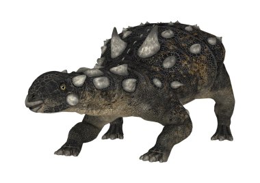 3D render dinozor Euplocephalus beyaz