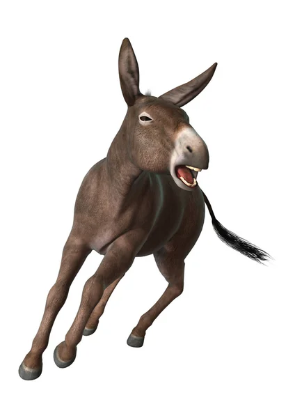 3D Rendering Donkey on White — Stock Photo, Image