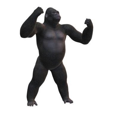 3D render Gorilla beyaz günü
