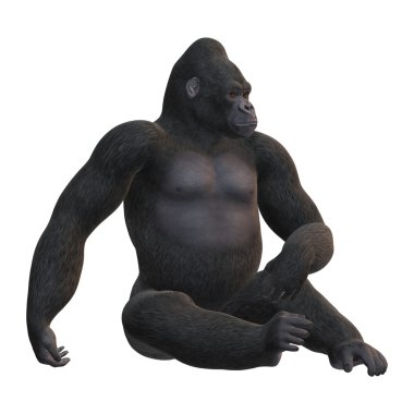 3D render Gorilla beyaz günü