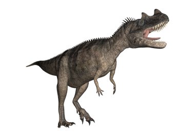3D render dinozor Ceratosaurus beyaz