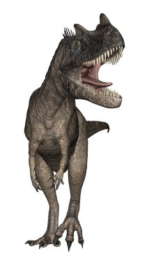 3D render dinozor Ceratosaurus beyaz
