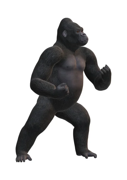Representación 3D gorila en blanco — Foto de Stock