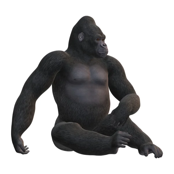 3D vykreslování gorila na bílém — Stock fotografie