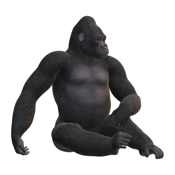 3D Rendering Gorilla auf Weiß — Stockfoto