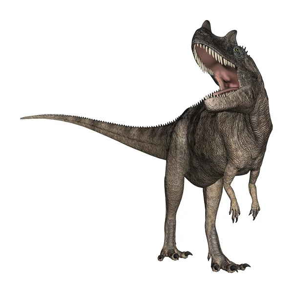 Dinossauro de renderização 3D Ceratosaurus em branco — Fotografia de Stock